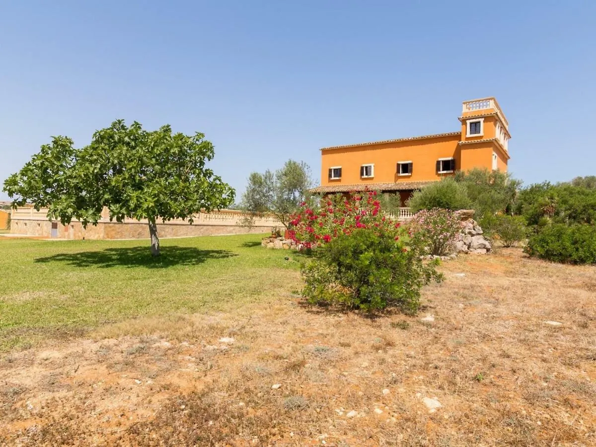 Birkadem Villa Santa Margalida