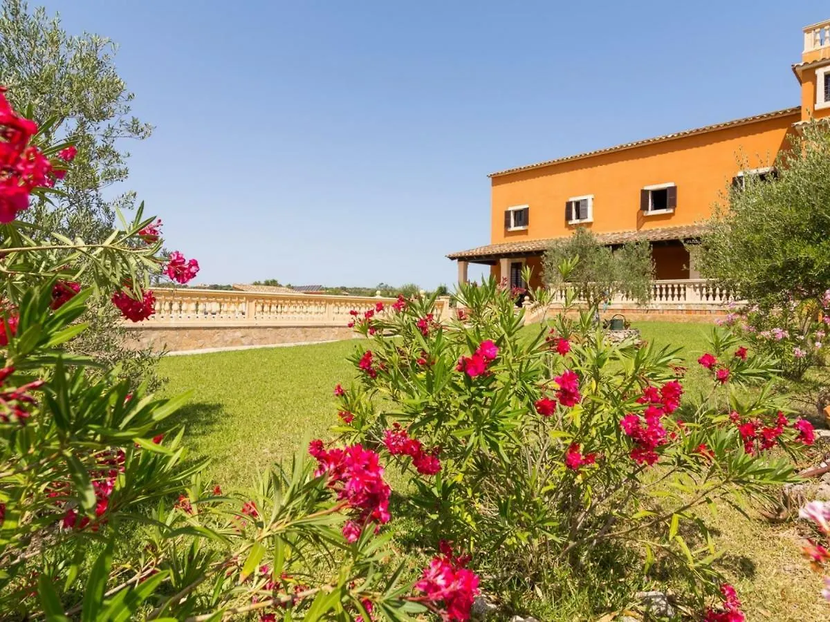 Birkadem Villa Santa Margalida